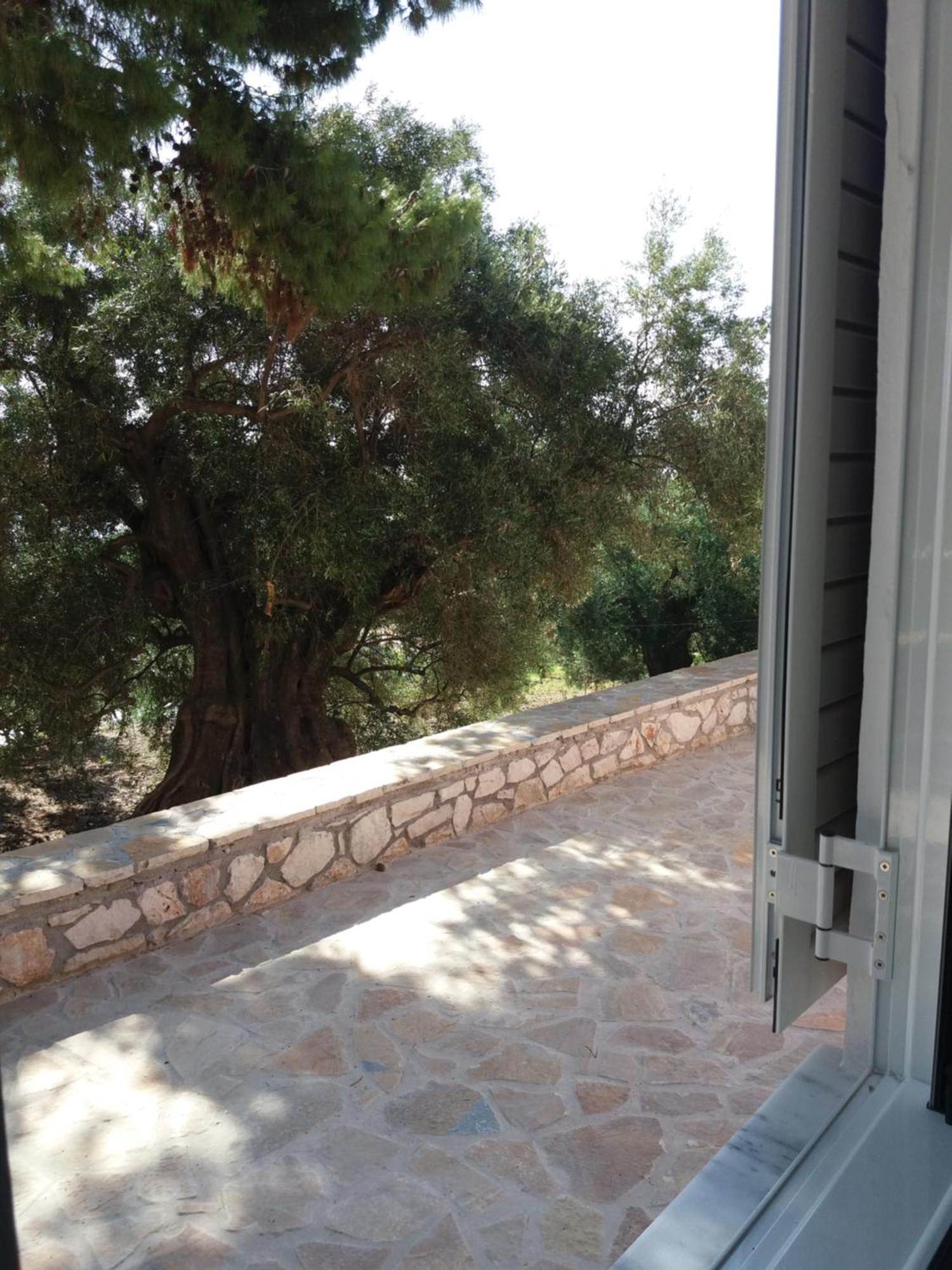 Belvedere Zakynthos Studios Vasilikí Zimmer foto